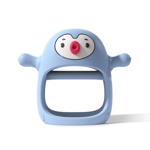 Baby Silicone Teething Toy (0-6m)
