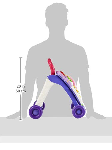 Sit-to-Stand Learning Walker