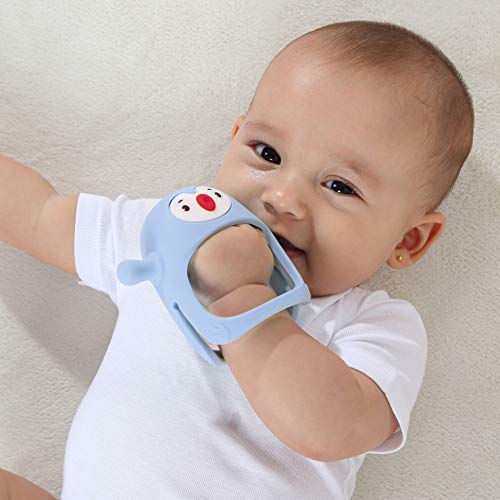 Baby Silicone Teething Toy (0-6m)