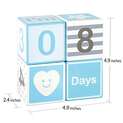 Solid Wood Week/Month/Year Milestone Age Blocks (4 Pieces)