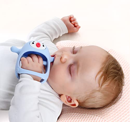 Baby Silicone Teething Toy (0-6m)