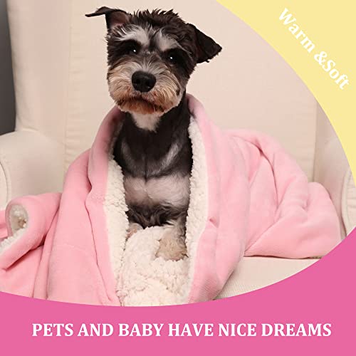 Baby Sherpa Soft Warm Blanket (30x40-inch)