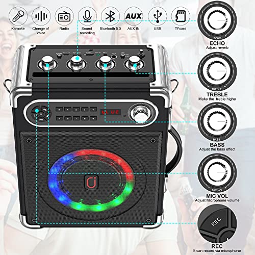 Portable Karaoke Bluetooth Speaker (2 Microphones)