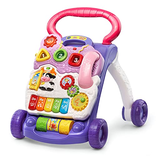 Sit-to-Stand Learning Walker