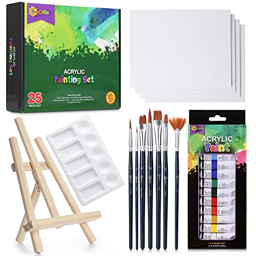 Acrylic Paint Set with Canvas Painting Kit