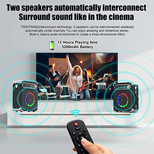 Portable Karaoke Bluetooth Speaker (2 Microphones)
