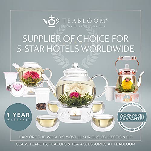 One-Touch 2-in-1 Heatproof Glass Tea Kettle