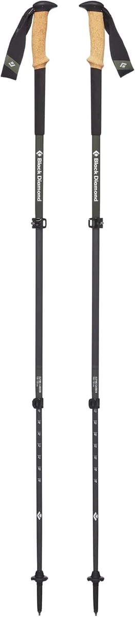 Black Diamond Alpine Carbon Cork Poles