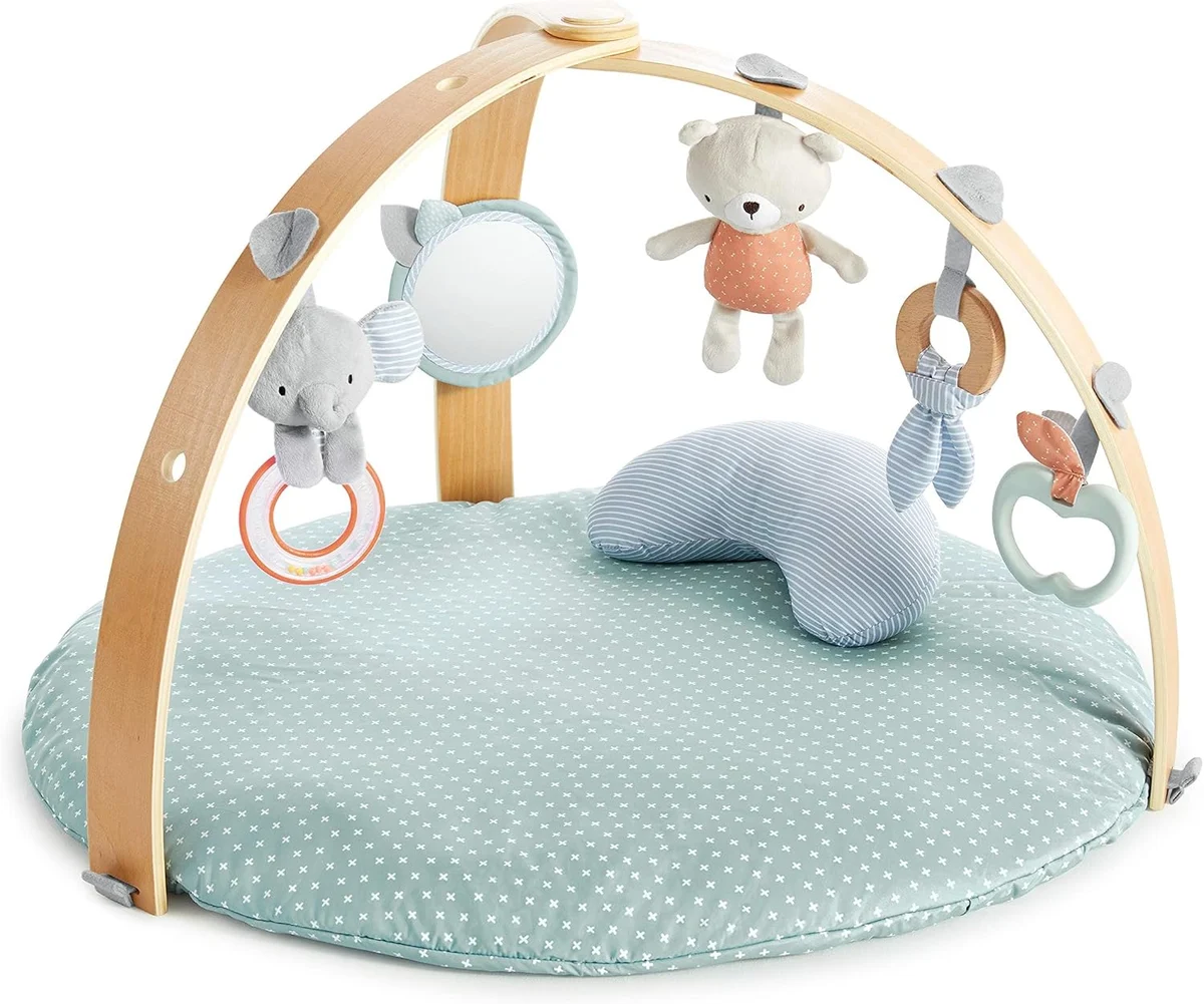Ingenuity Cozy Spot Play Gym