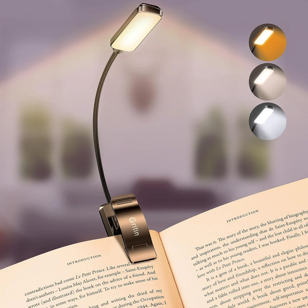 Rechargeable Book Light