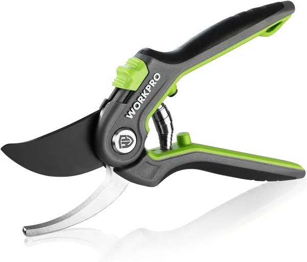 Bypass Pruning Shears