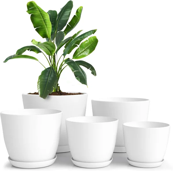 Indoor Plant Pots, Set of Five