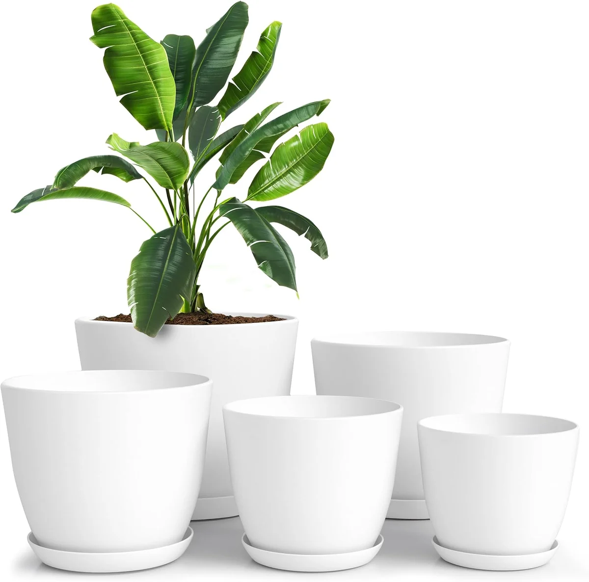 Indoor Plant Pots, Set of Five
