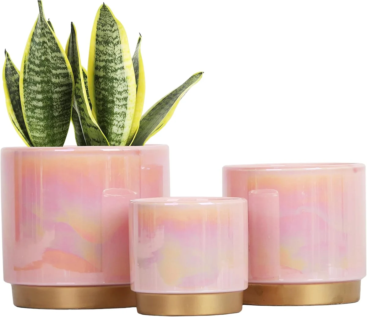 Pink Ceramic Plant Pots