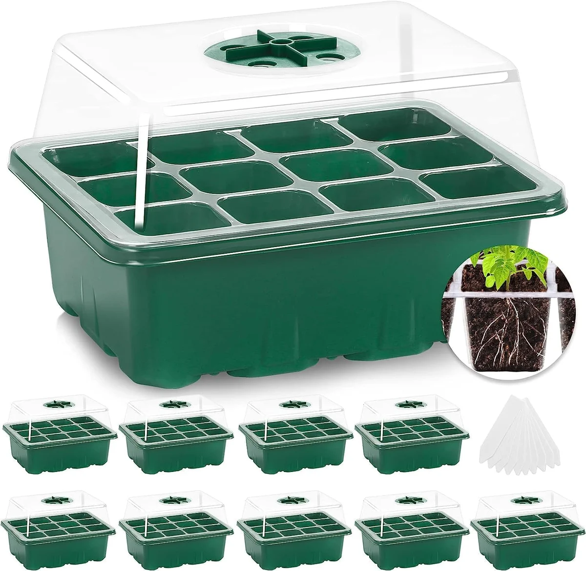 Seed Starter Trays, Set of 10