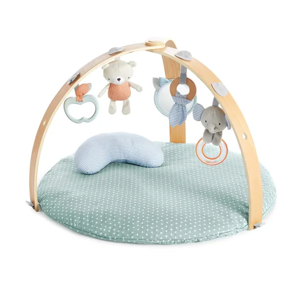 Ingenuity Cozy Spot Play Gym