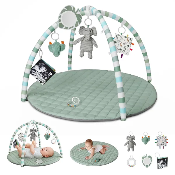 Six-Toy Baby Play Gym