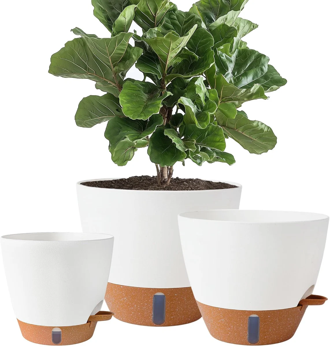 Self-Watering Plant Pot Set