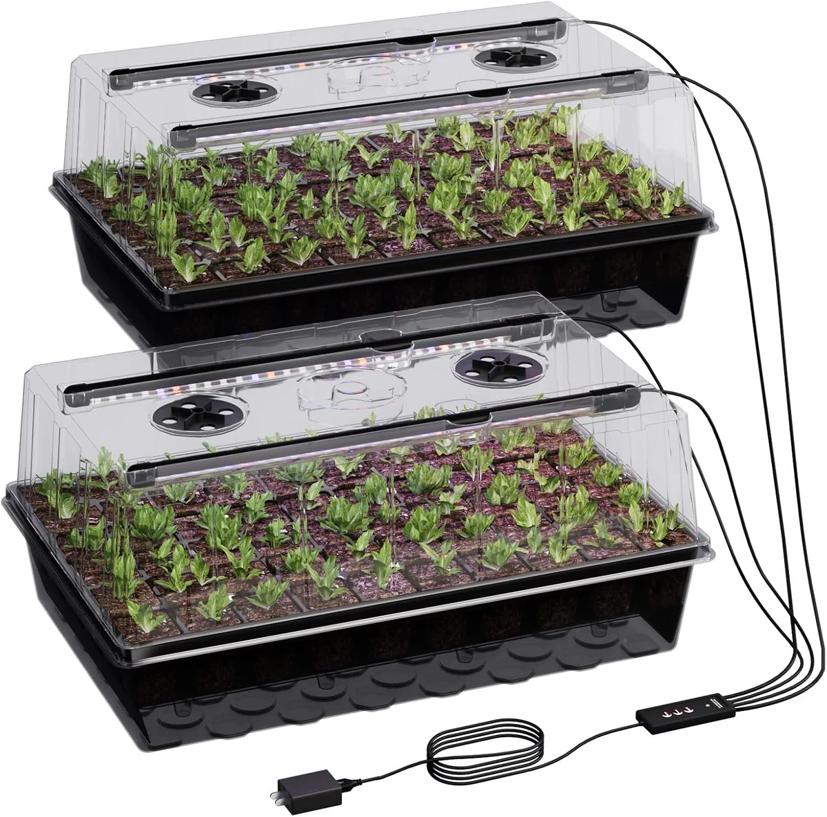 Self-Watering Seed Starter with Grow Light